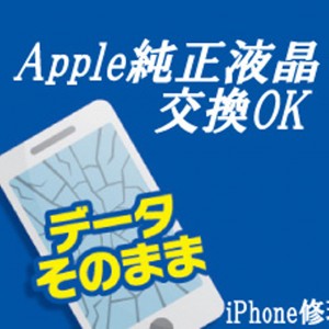 iPhone修理　福井データサポートイメージ画像